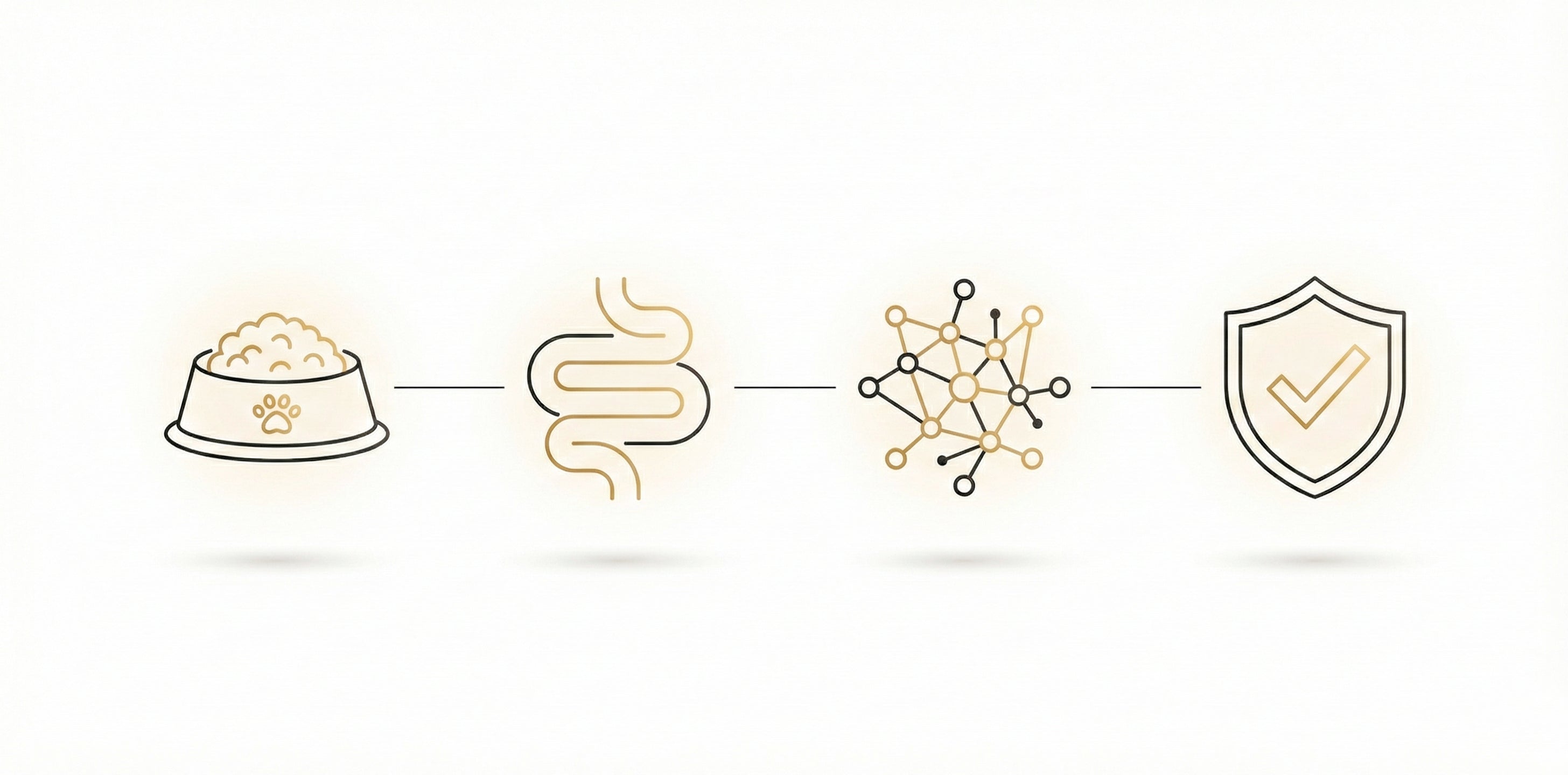 Flujo 4 iconos: “Diagrama: alimento, intestino, microbiota y equilibrio.”