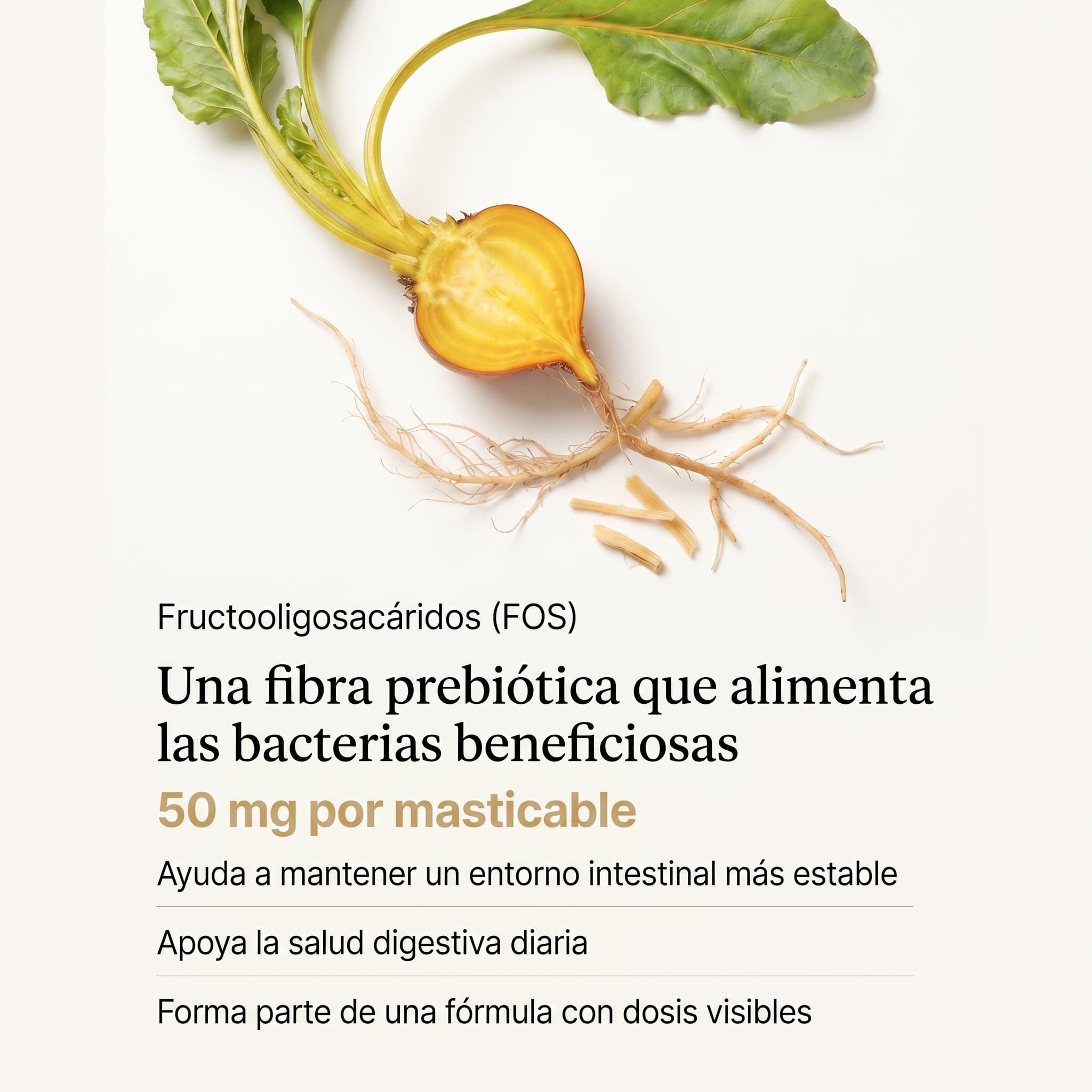 Infografía de fructooligosacáridos FOS en probióticos Livopets para perros con 50 mg de fibra prebiótica por masticable