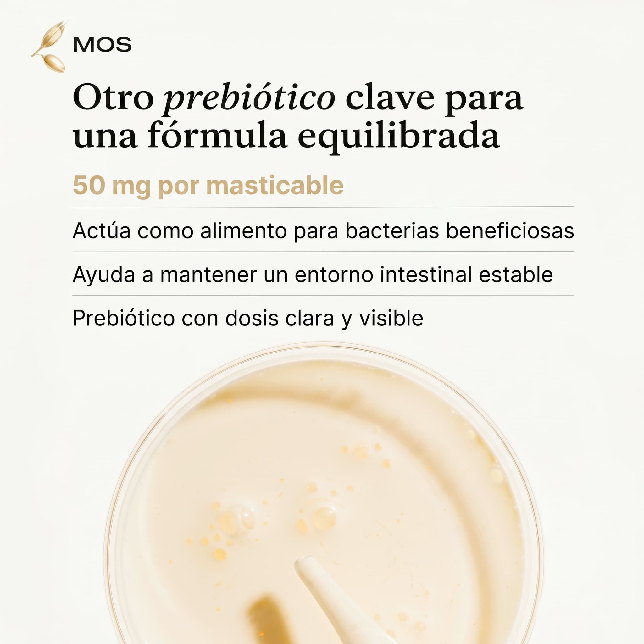 Infografía de prebióticos MOS en probióticos Livopets para perros con 50 mg por masticable para apoyar el equilibrio intestinal