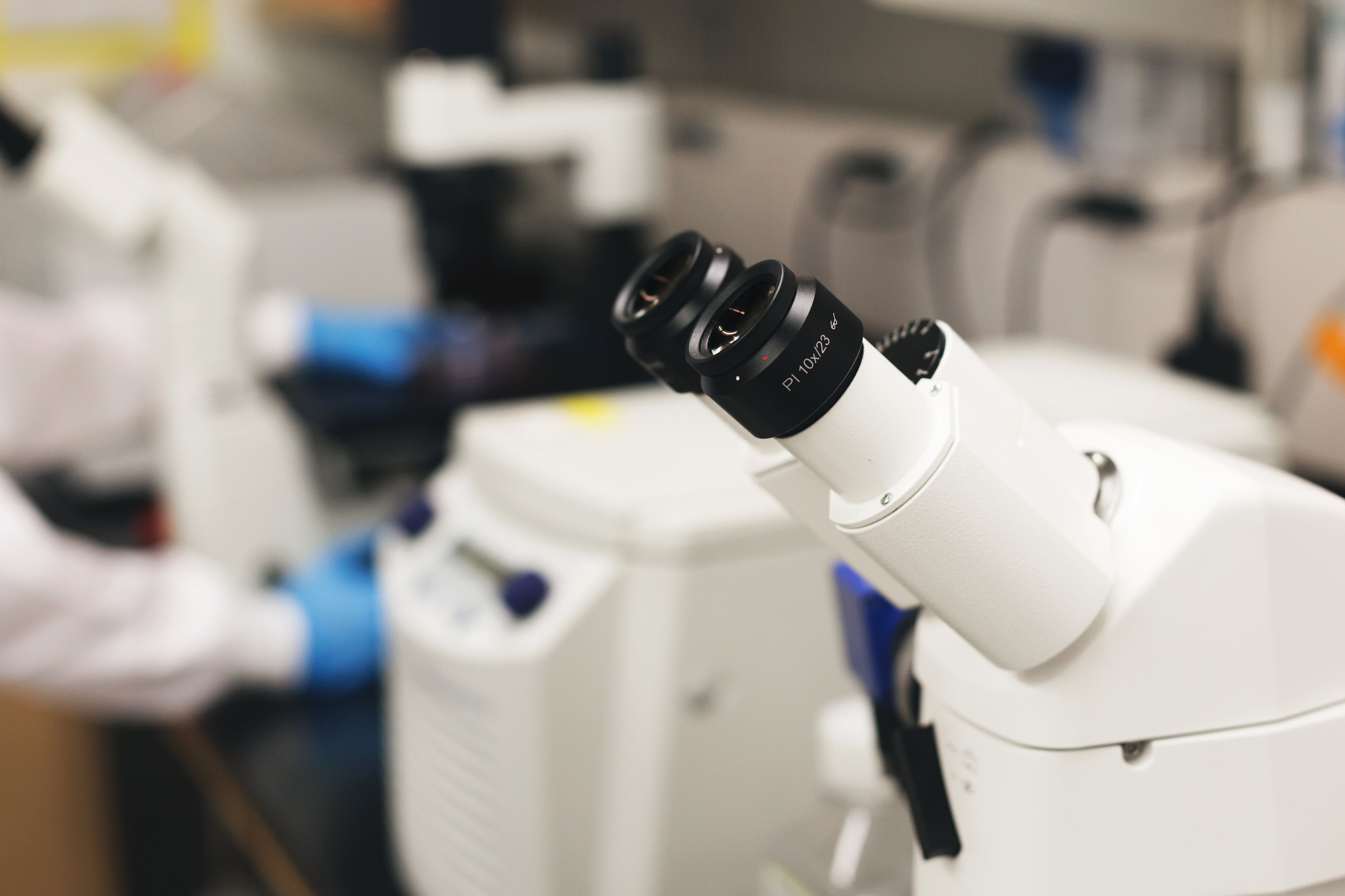 Imagen microscopio para investigación