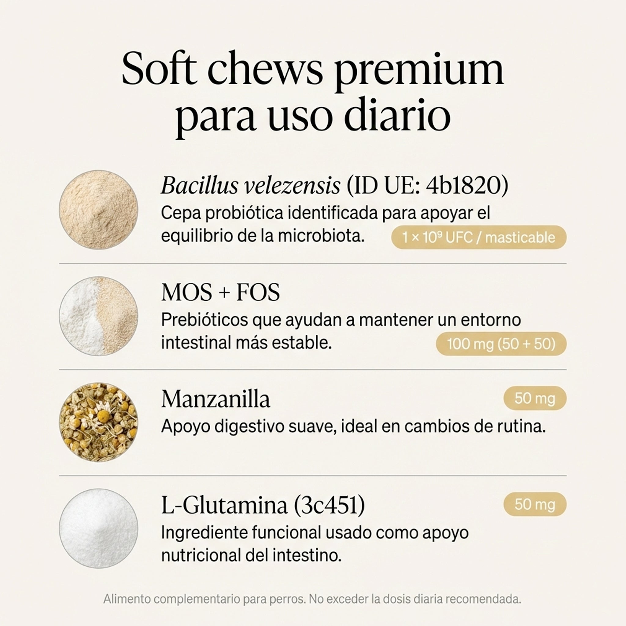 Probiótico para perros | Apoyo digestivo y defensas