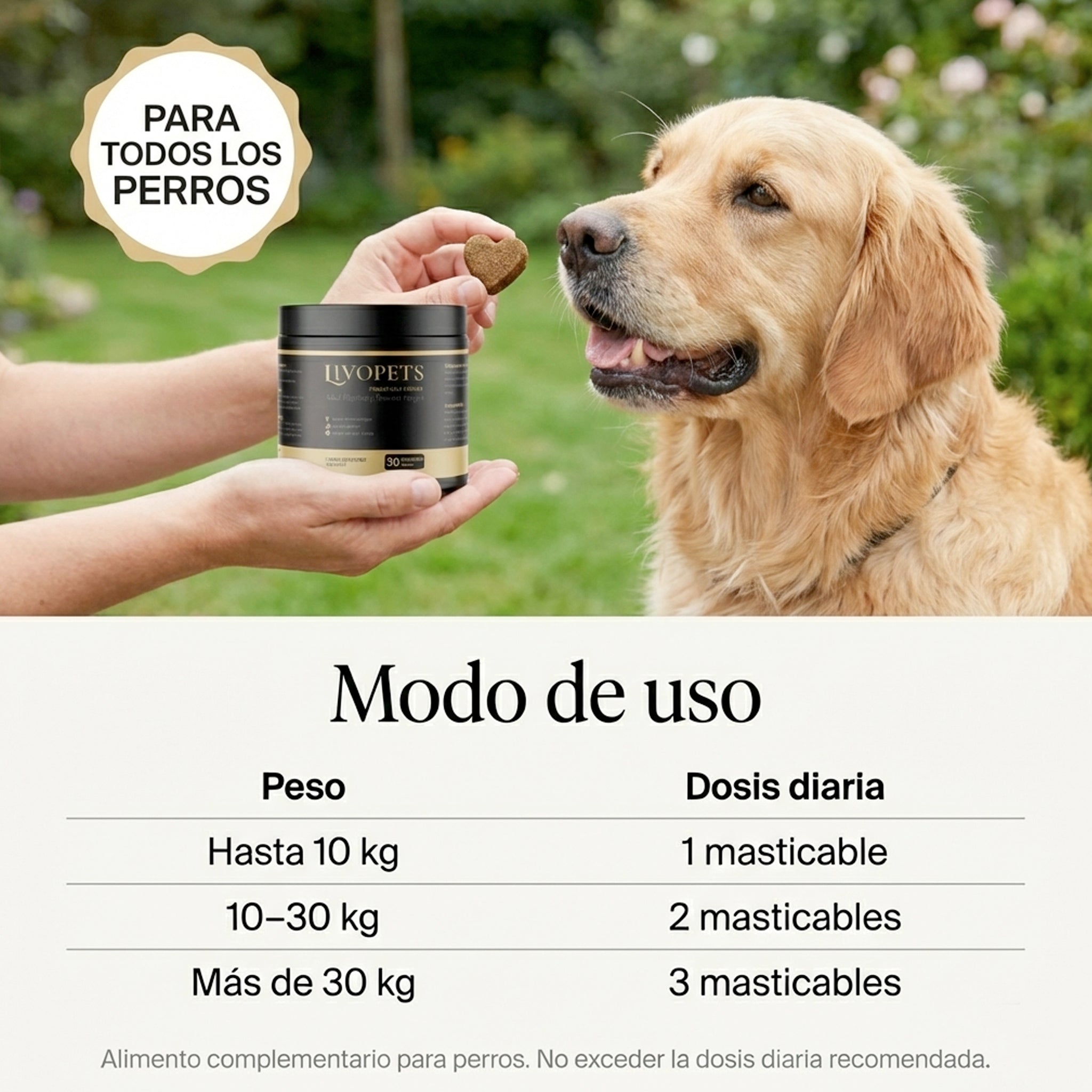 Probiótico para perros | Apoyo digestivo y defensas