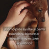Vídeo sobre las señales de desequilibrio intestinal en perros y cómo identificar cuándo necesitan apoyo digestivo